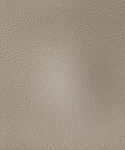 CXL By Christian Lacroix Méridiennes Méridien Cuir Cuirne 1 Place En Cuir Cuir Gris Clair -Magasin Méridiennes meridien cuir cuirne 1 place en cuir cuir gris clair 9